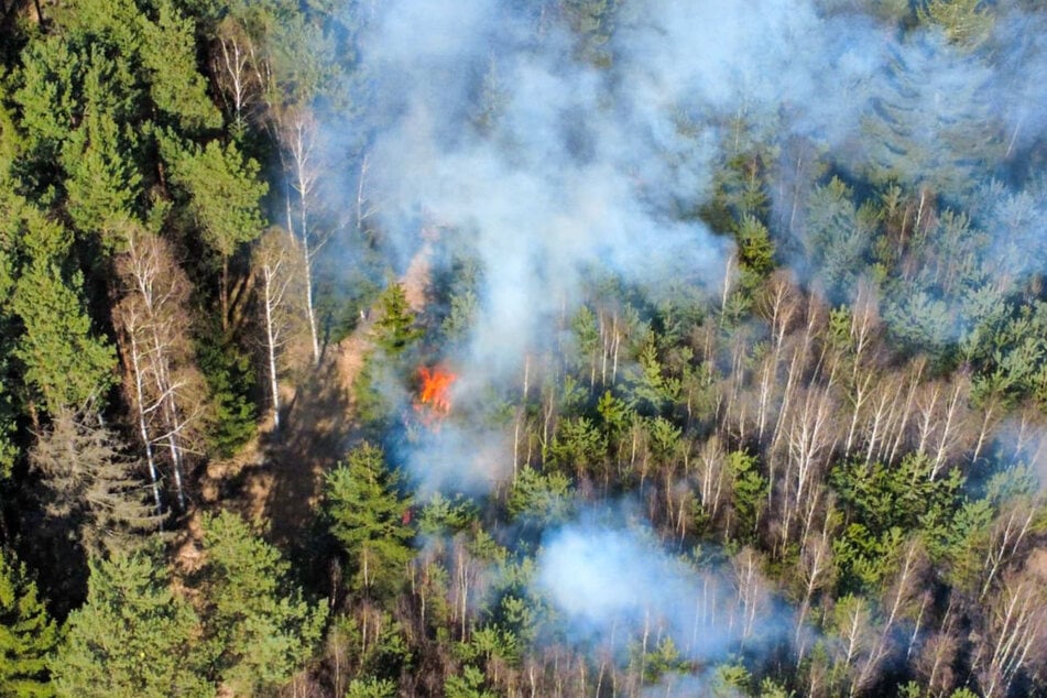 In einem Waldgebiet im Landkreis Görlitz war an zwei Stellen Feuer ausgebrochen.