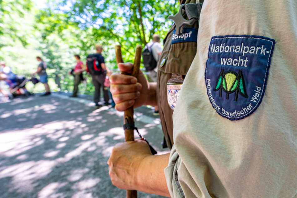 Die Corona-Krise beschert dem Nationalpark Bayerischer Wald einen enormen Andrang an Besuchern. (Symbolbild)
