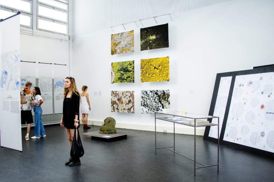 "Das Metrobiom" sicherte sich den "Special Prize" und sahnte 3000 Euro ab.