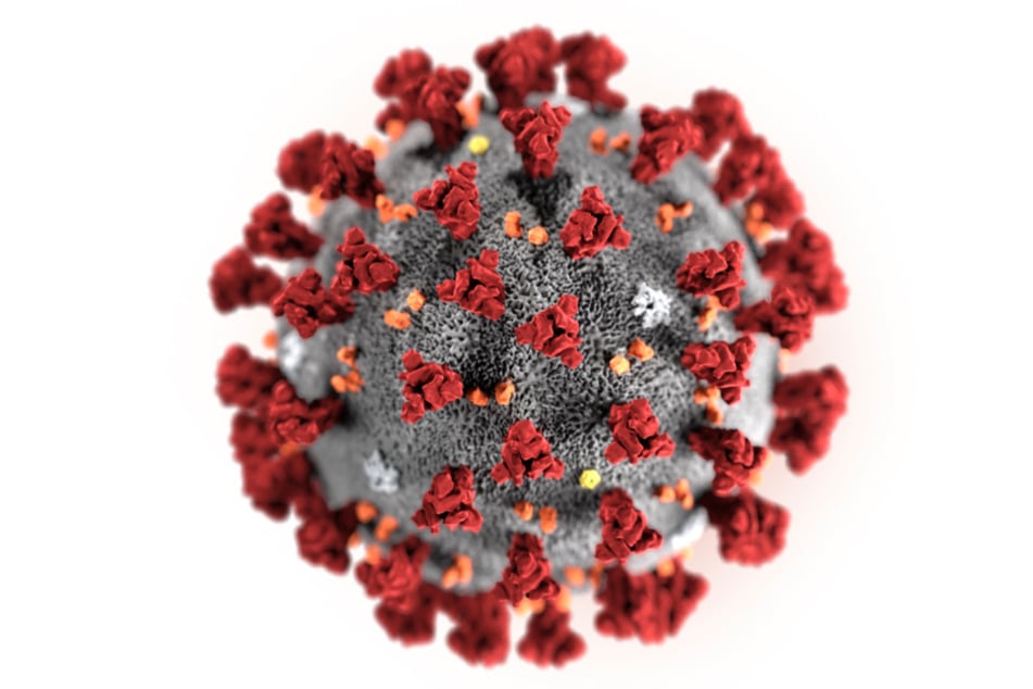 Diese Illustration zeigt das 2019 Novel Coronavirus (2019-nCoV). Das Virus wurde als Ursache für die zuerst im chinesischen Wuhan festgestellte Lungenkrankheit ermittelt.