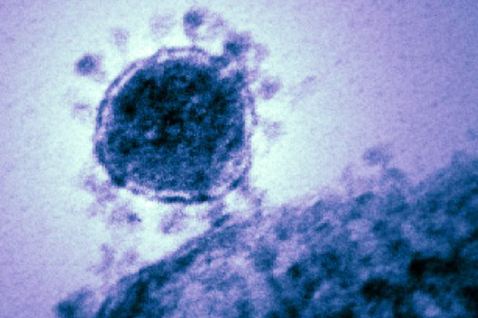 Das Coronavirus infizierte in Cottbus 43 Personen.
