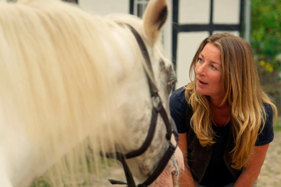 Carla findet ein fremdes Pferd auf ihrem Hof und spürt eine besondere Verbindung zu dem alten Tier.