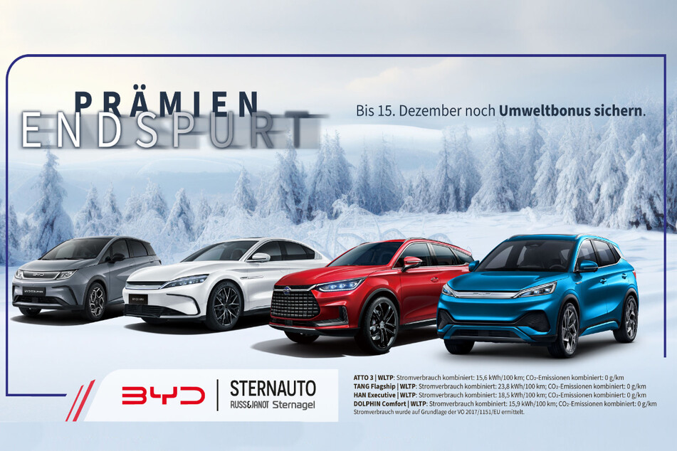 Hier geht's zum Prämien-Endspurt bei STERNAUTO.