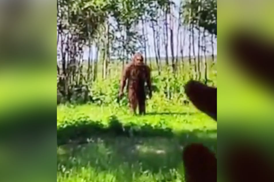 What do you think? Could this really be Bigfoot?