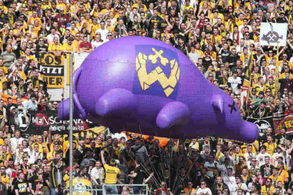 Am 16. September 2019 ließen die Dynamo-Fans ein lila Schwein durchs Stadion fliegen.
