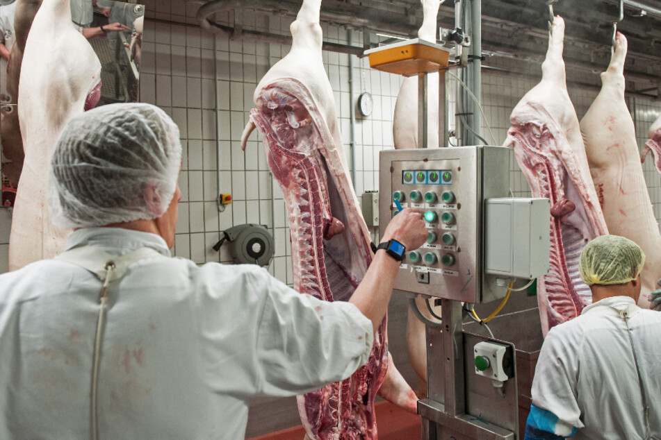 Mitarbeiter von Schlachthöfen in Niedersachsen werden derzeit auf das Coronavirus getestet. (Archivbild)