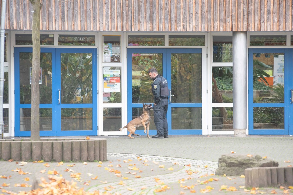 Ein Spürhund ist im Einsatz, um die Gesamtschule auf Bomben zu untersuchen.
