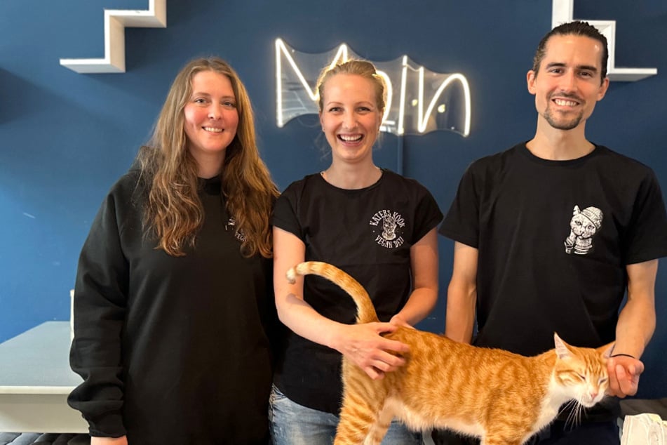 Hamburg: Hamburger Katzencafé feiert 2-jährigen Geburtstag: Das hat sich geändert