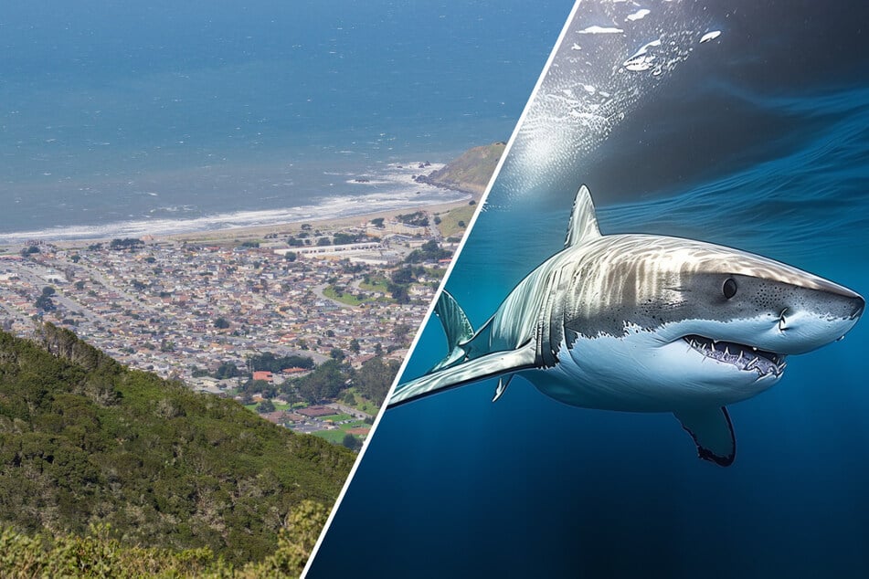 A suspected shark attack at Linda Mar Beach in Pacifica, North Carolina left a 52-year-old injured and needing hospital treatment.