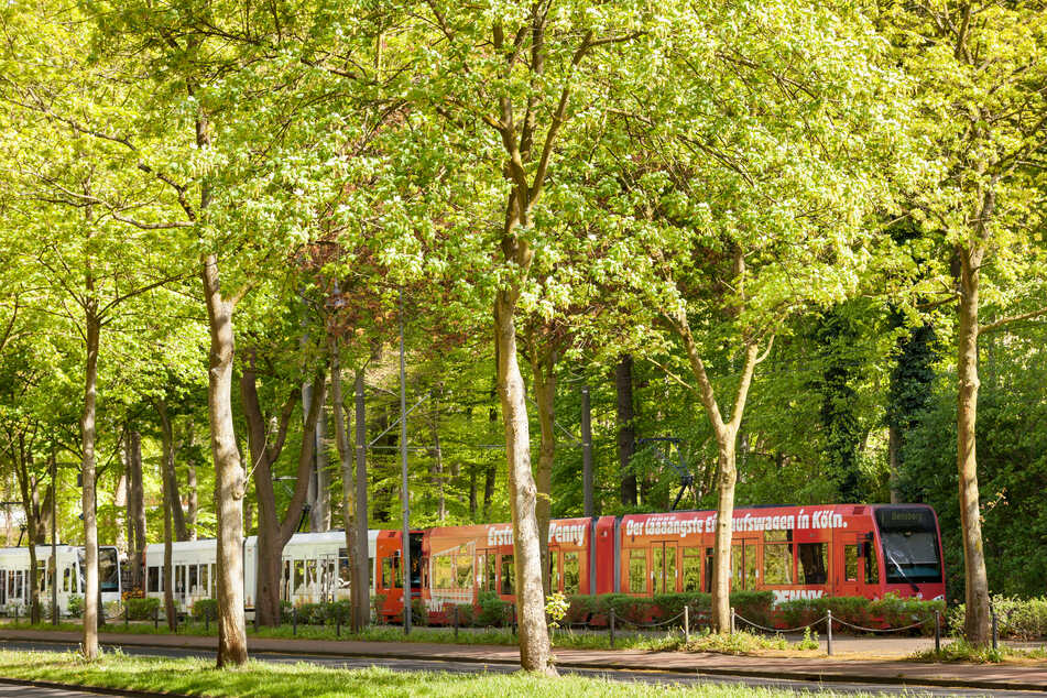 Die Stadtbahn der Linie 1 soll in Zukunft verlängert werden und so noch mehr Fahrgäste transportieren. Dafür sind allerdings bauliche Veränderungen notwendig. (Symbolbild)