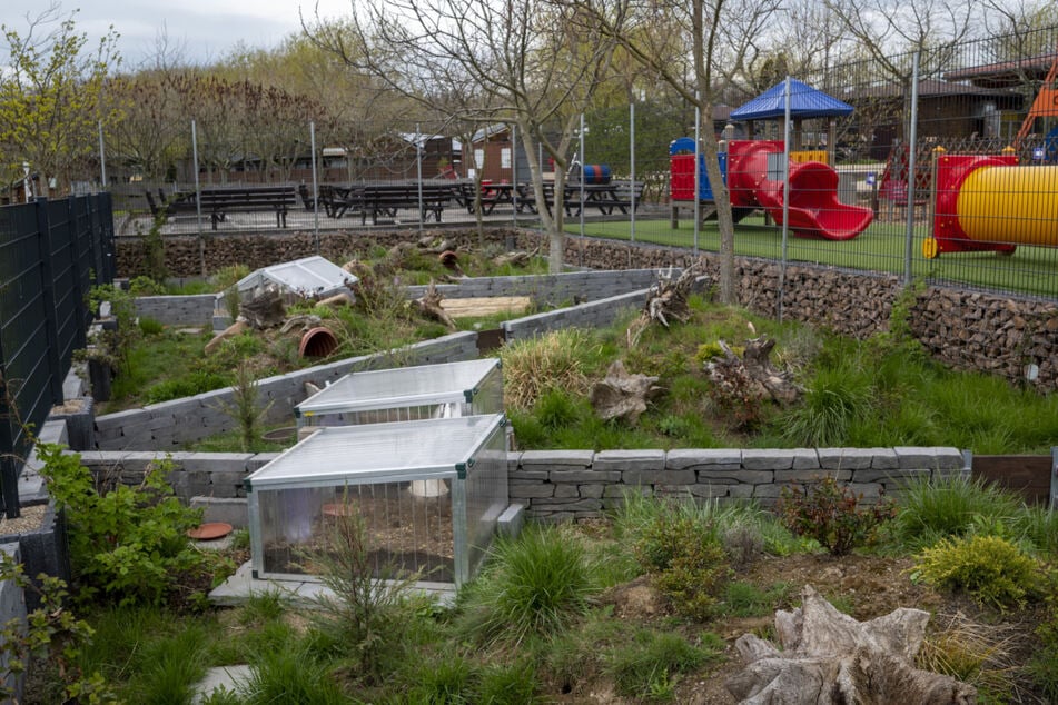 Die Eröffnung möglich macht das Tiergehege, welches einen großen Teil des Parkgeländes einnimmt.