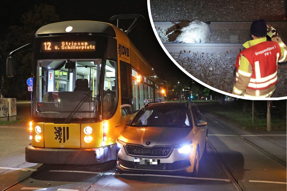 Zwei Straßenbahn-Unfälle in einer Nacht: Auto gerammt, Wildschwein überfahren