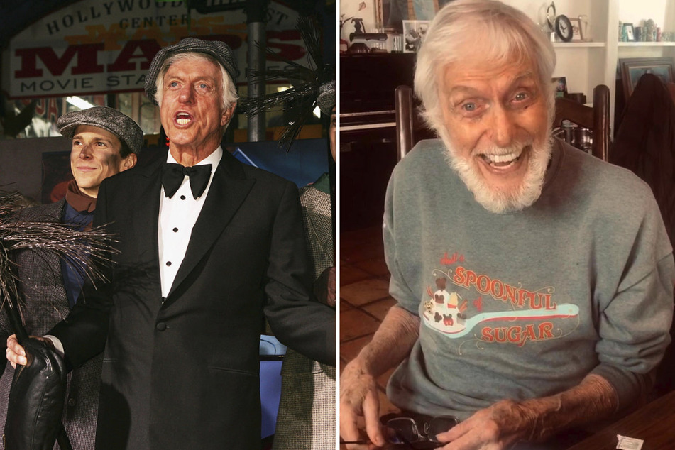 Mary Poppins star Dick Van Dyke sustained "moderate injuries" in a Malibu car crash last week.