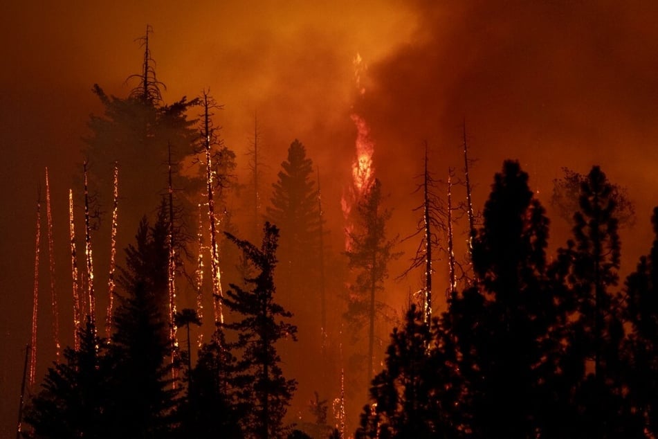 A forest is incinerated by the Oak Fire near Midpines, northeast of Mariposa, California, on July 23, 2022.