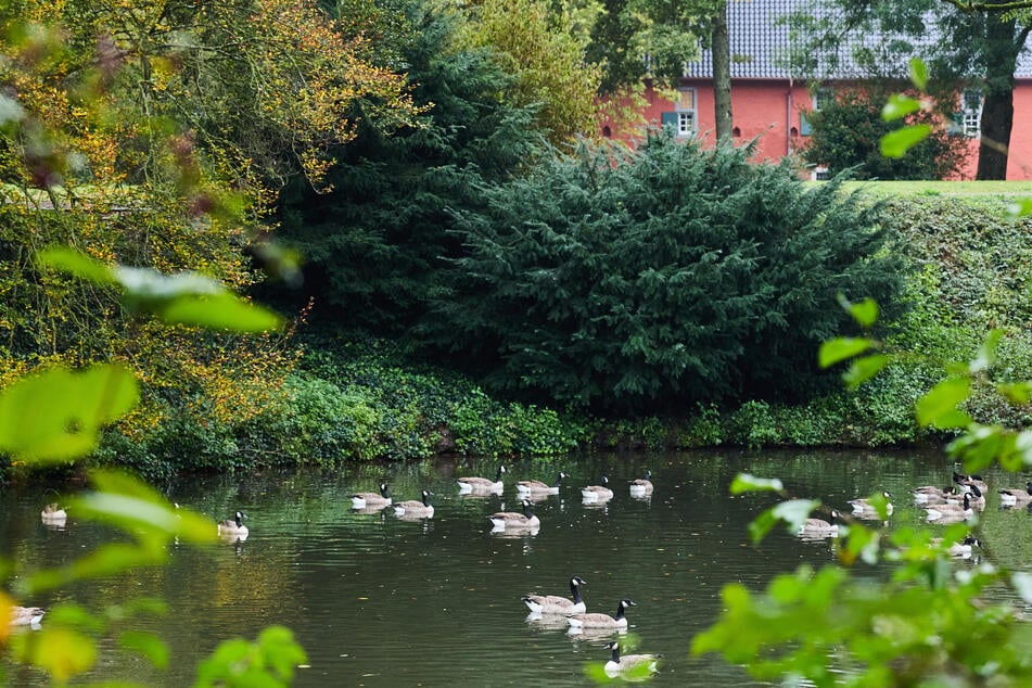 In Nordrhein-Westfalen wird es in den nächsten Tagen kühler und herbstlicher.
