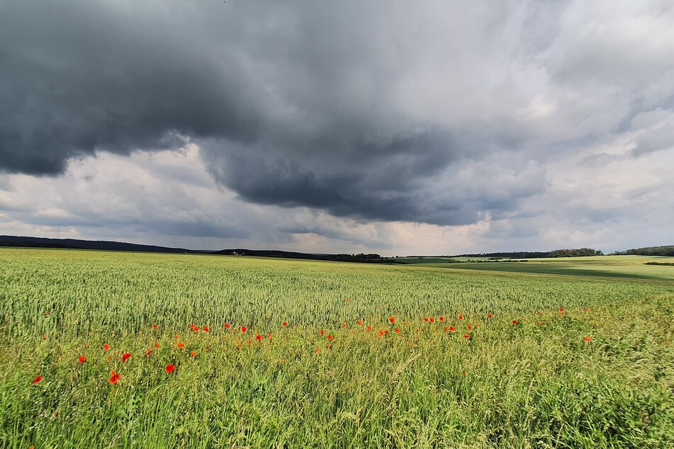 In Thüringen waren am Samstag Schauer und Gewitter unterwegs. Mitunter tobten sich Unwetter aus.