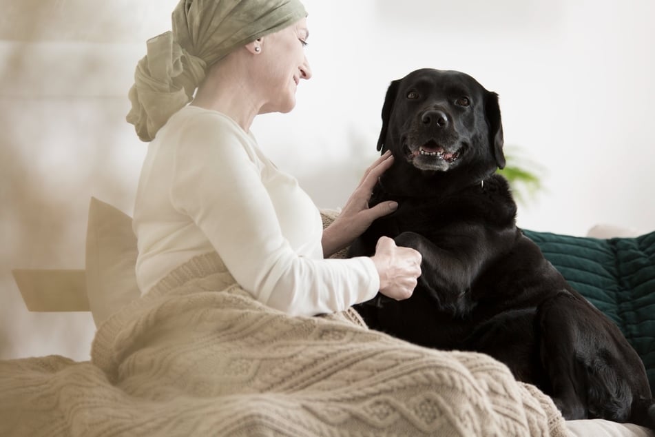 Die Nähe zum Hund hat eine heilende Wirkung auf den Körper und Geist vieler Menschen.