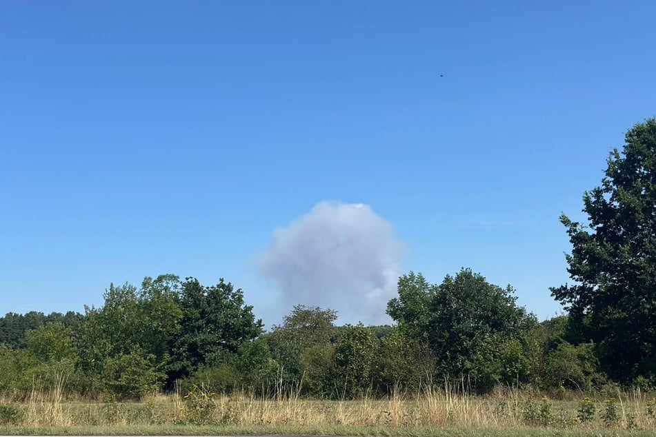 Auch aus Bad Düben war die Rauchwolke sichtbar.