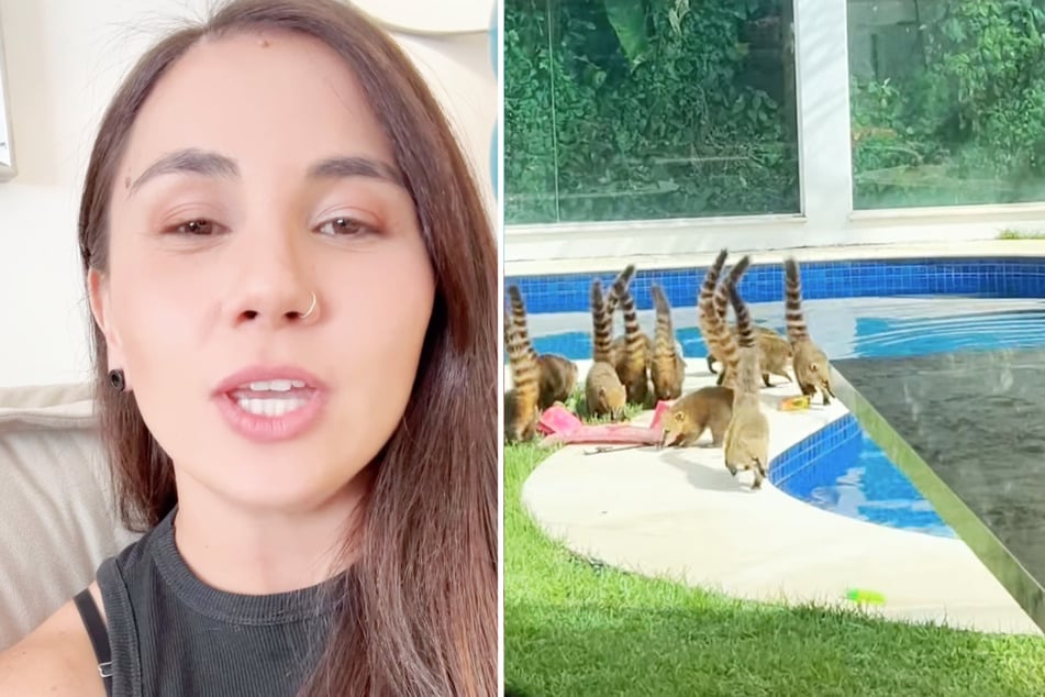 Mariana Sakahida war zusammen mit ihrer Familie im Urlaub. In der Unterkunft erwartete sie eine tierische Überraschung.