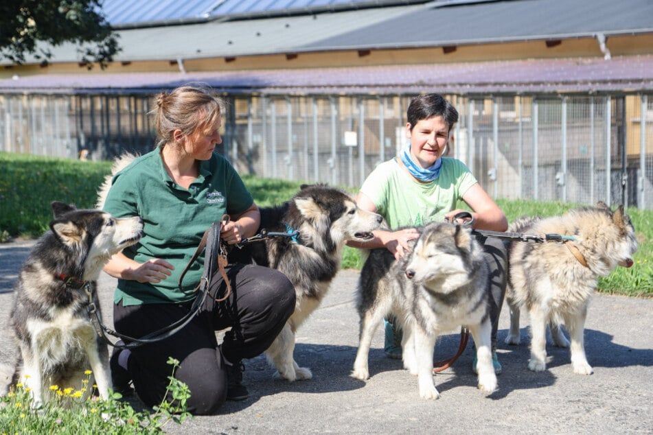 Tierheim-Chefin Anne Schilling (39) und Büro-Leiterin Ira Weißbach (43) kümmern sich mit ihrem Team um Hunde, die viel hinter sich haben.