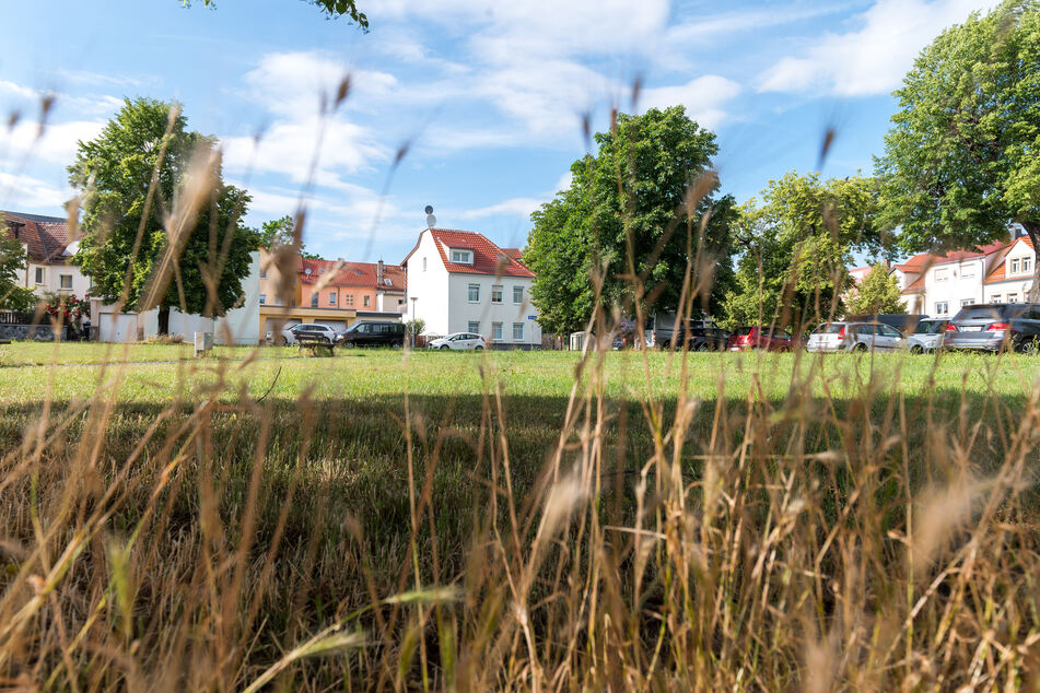 Im Park am Rahmenplatz war der Großenhainer zuletzt gesehen worden.