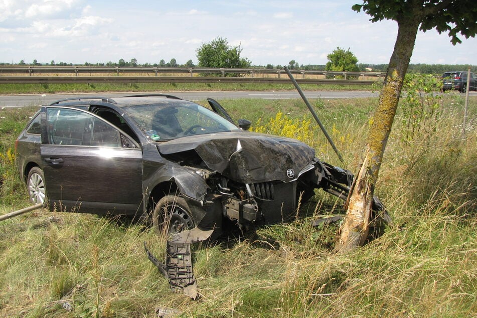 Das Auto raste erst durch einen Zaun und krachte dann in einen Baum.