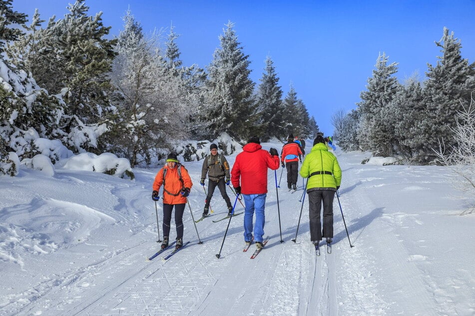 Skilangläufer im Osterzgebirge. Im sächsischen Staatswald befinden sich auf Wegen rund 500 ausgewiesene Loipen-Kilometer.