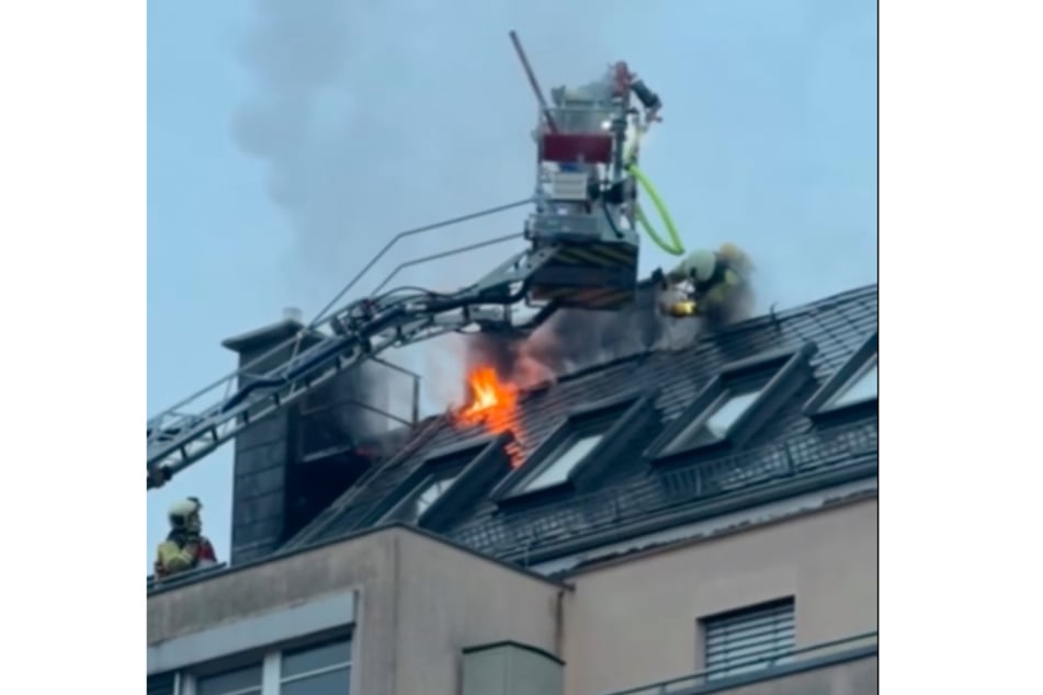 Ein Video von der Feuerwehr Dresden zeigt, wie die Einsatzkräfte gegen das Feuer kämpfen.