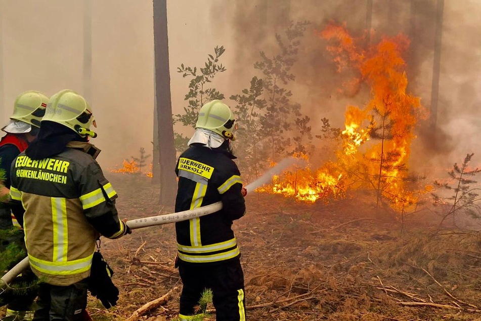 Waldbrand in Brandenburg ausgebrochen: Feuerwehr alarmiert umliegende Einsatzkräfte