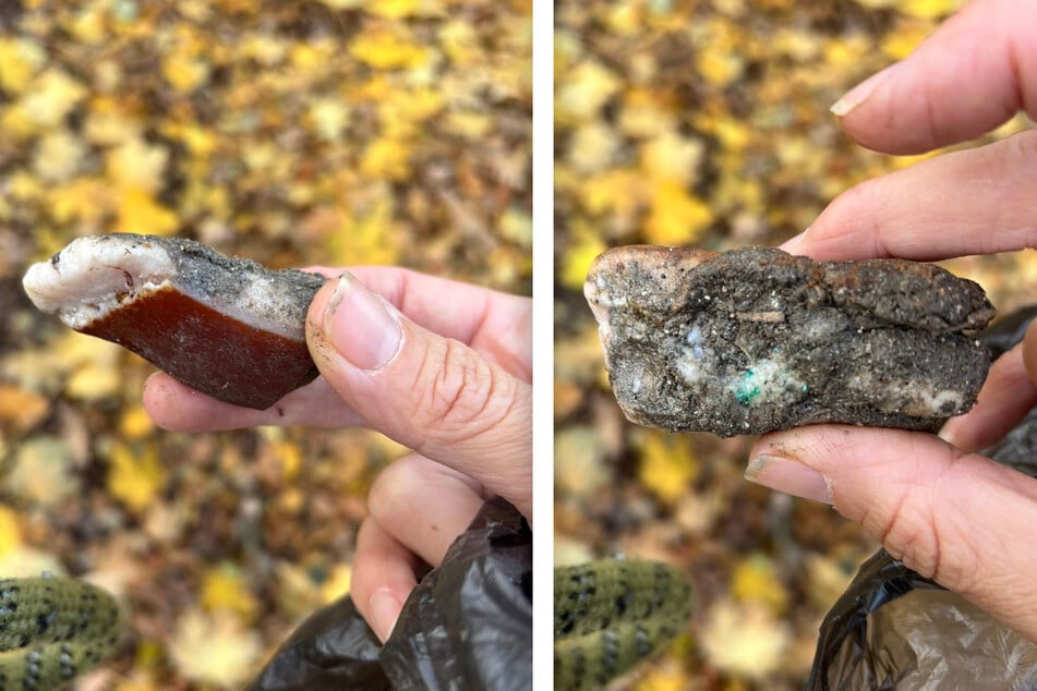 Beim Entfernen der Speckschwarte aus dem Maul ihrer Hündin entdeckte Susann L. grünes Pulver daran.