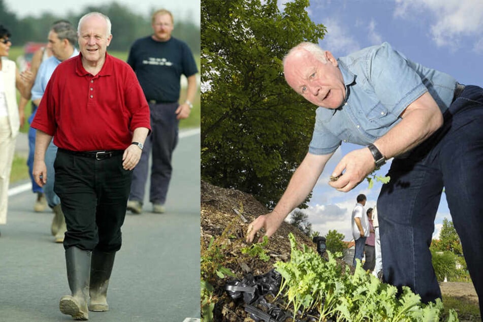links: Mit Gummistiefeln und
Polo-Shirt war Milbradt
bei der „Flut 2002“ ein
schneller Entscheider an
vorderster Front. rechts: Beim Grünkohlpflanzen für das 23. Dresdner Grünkohlessen 2012 in Radeberg.