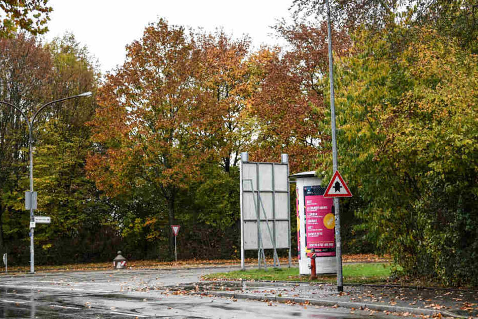 In der Nähe des Tatorts in Freiburg: Hier kam es zu einer mutmaßlichen Gruppenvergewaltigung einer 18-jährigen Studentin.