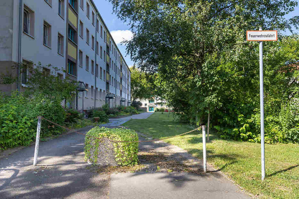 Die Feuerwehrzufahrt an der Lortzingstraße 49 ist mit einem Pflanzenkübel zugestellt.