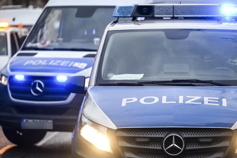 Die Polizei brachte einen der beiden Brüder ins Gefängnis. (Symbolfoto)