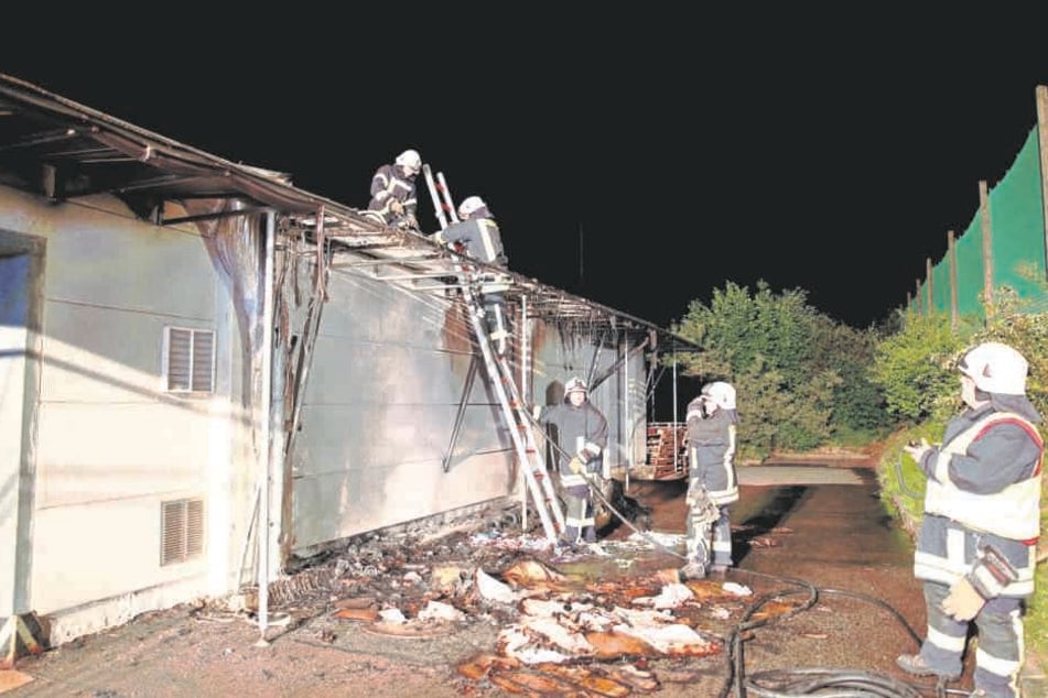 Feuerwehrleute löschten das brennende Dach, retteten die teuren Maschinen in der Halle.