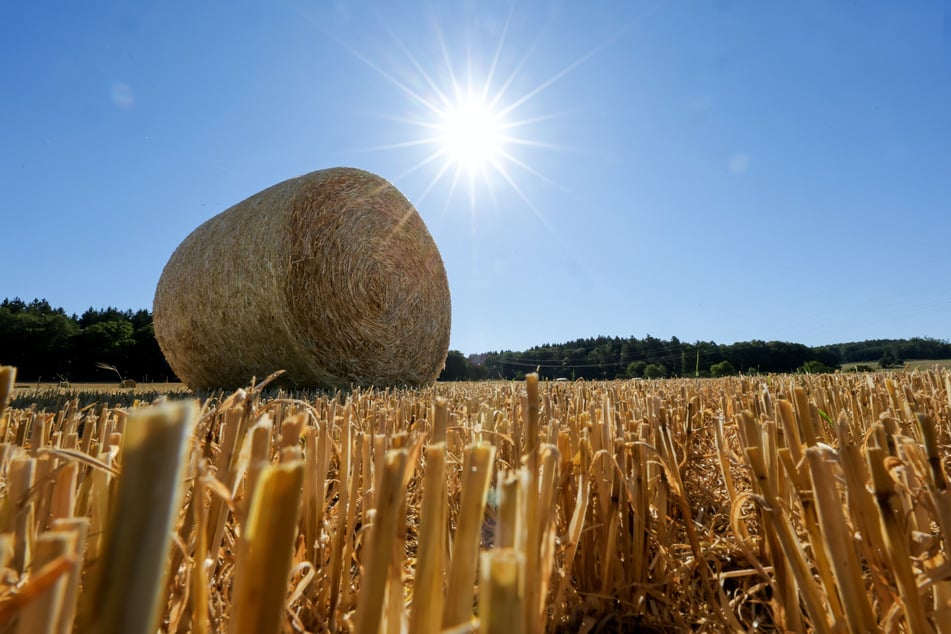 Der Sommer legt in NRW noch einmal nach: Die Temperaturen klettern erneut über die 30-Grad-Marke. (Symbolbild)