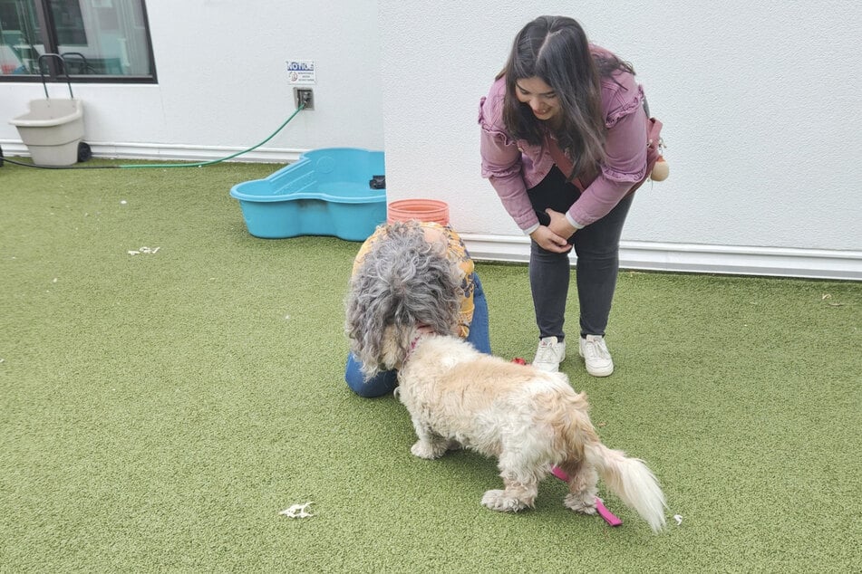 The reunion between dog Cleo and her owner Luisa (l.) was quite emotional.