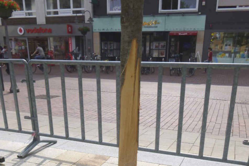 Die Blumenesche auf dem Berliner Platz ist zerstört.