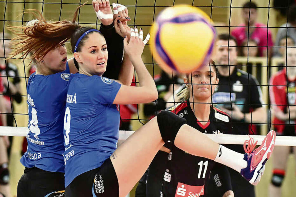 Die Partie in Wiesbaden war hart umkämpft. Hier schaut das VC-Duo Lena Vedder und Klara Vyklicka dem Ball hinterher. Hinter dem Netz beobachtet DSC-Topscorerin Milica Kubura die Szene.