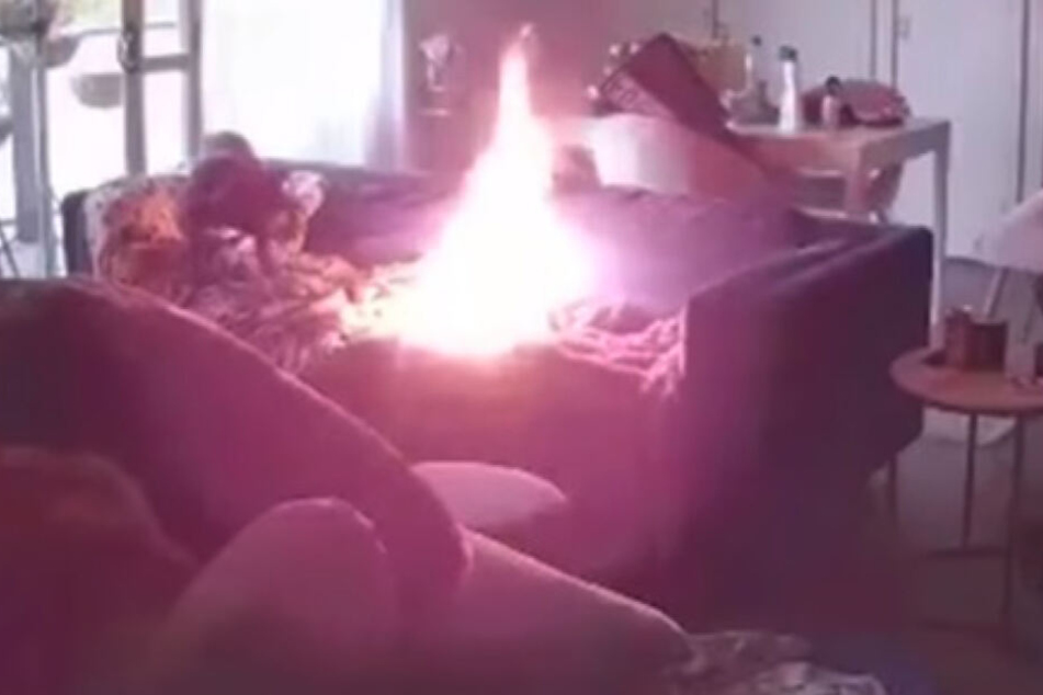 Auf dem Handy konnte Archies Frauchen die dramatischen Bilder ihrer Heimkamera sehen.
