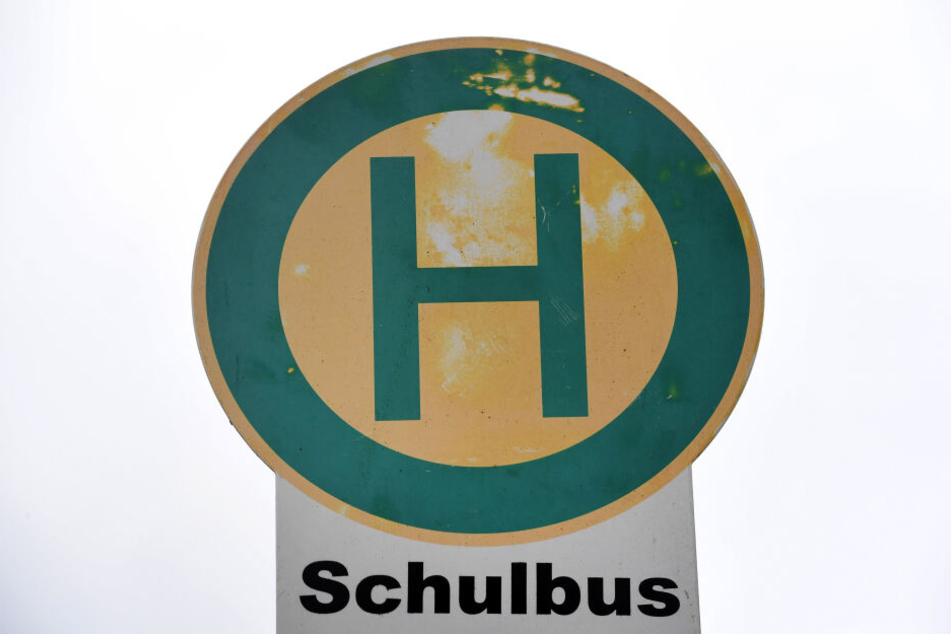 Wie es zum Unfall mit dem Bus kommen konnte, ist noch nicht geklärt. (Symbolbild)