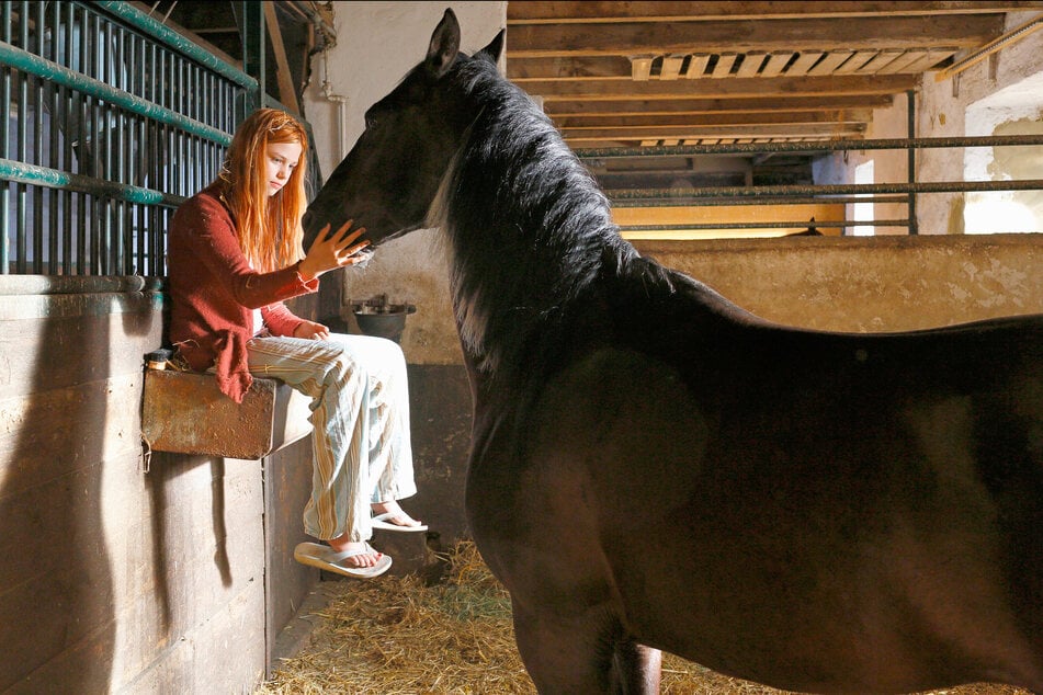 Mika Schwarz (Hanna Binke, 26) kann das Pferd Ostwind bändigen.