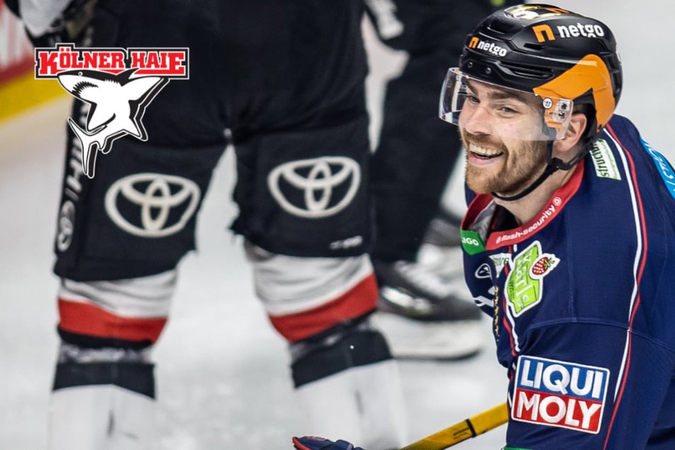 Neuzugang perfekt? Nationalspieler soll Angriff der Kölner Haie verstärken