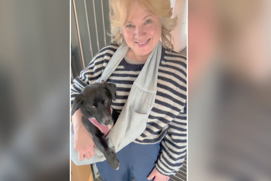 Um diesen kleinen Dackel-Mix geht es: Hündchen Greta von Schauspielerin Christiane Olivier.