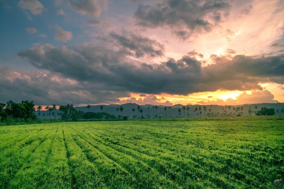 Carbon dioxide removal rates depend on variables including rock type and size, how wet and hot the climate is, soil type, and land management.