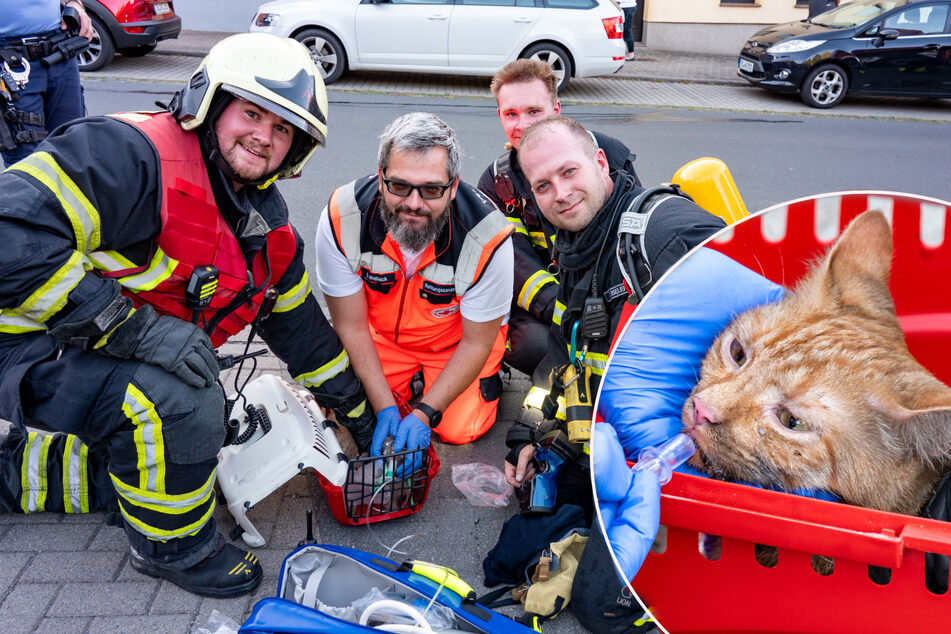 Sächsische Sanitäter retten Katze mit einer Miez-Beatmung