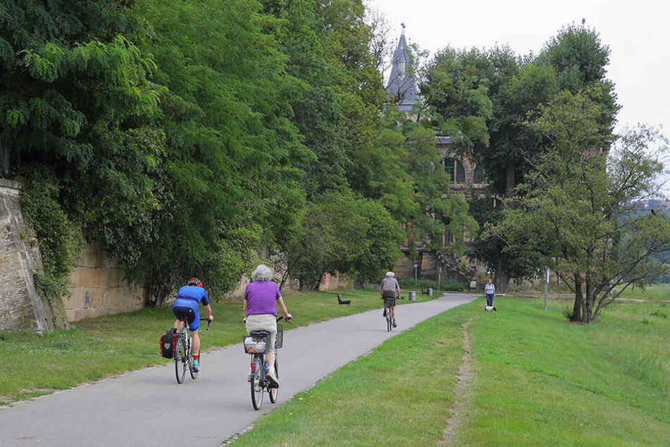 Hier brannte der E-Roller auf dem Elberadweg.