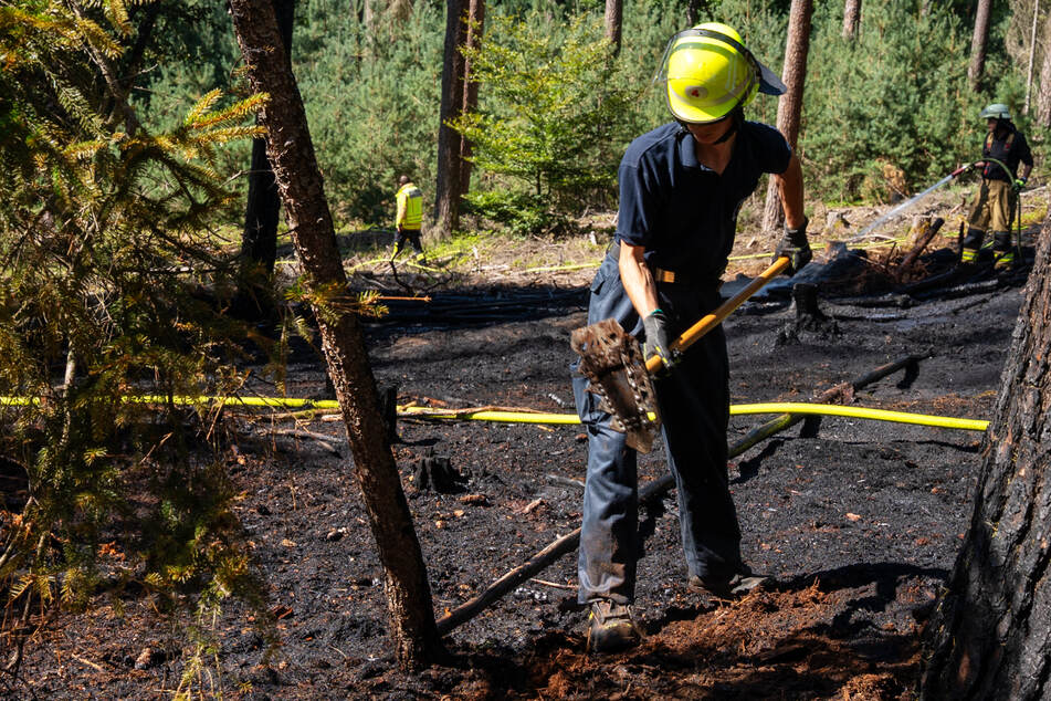 Rund 1000 Quadratmeter Waldboden standen in Flammen: Bis in den Dienstagnachmittag hinein dauerten die Löscharbeiten an.