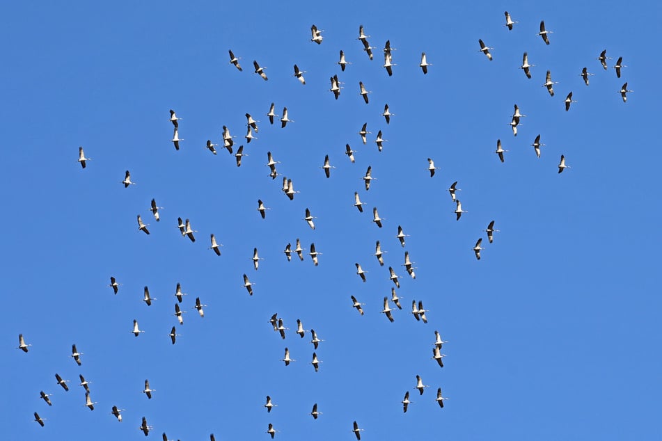 Am Sonntag schien jedoch kurz mal Chaos am Himmel über Leipzig auszubrechen.
