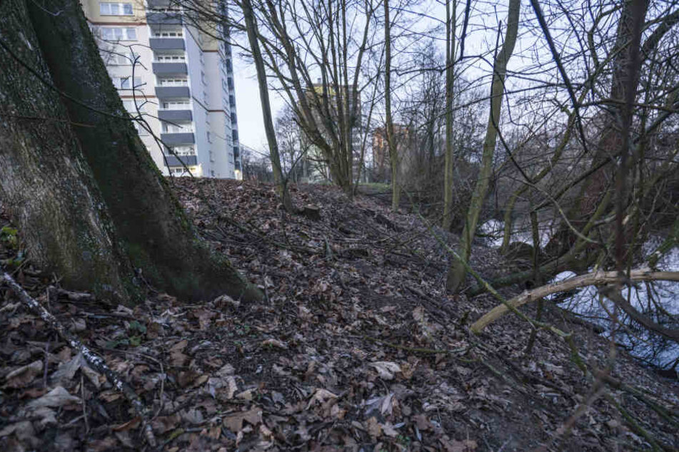 Der Säugling wurde an einem Fluss ausgesetzt.